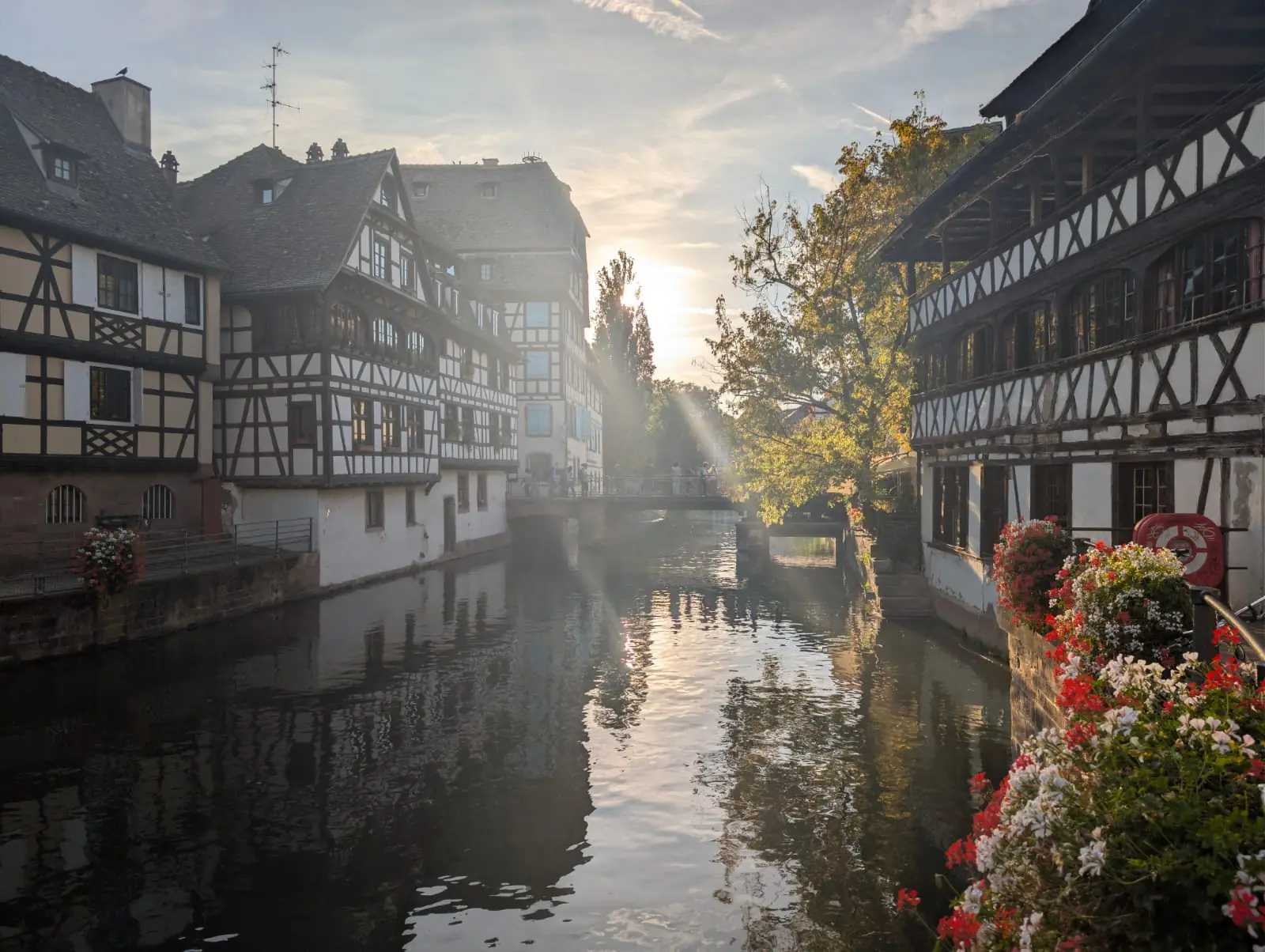 Sun rays breaking through trees between half-timbered houses over a glowing canal